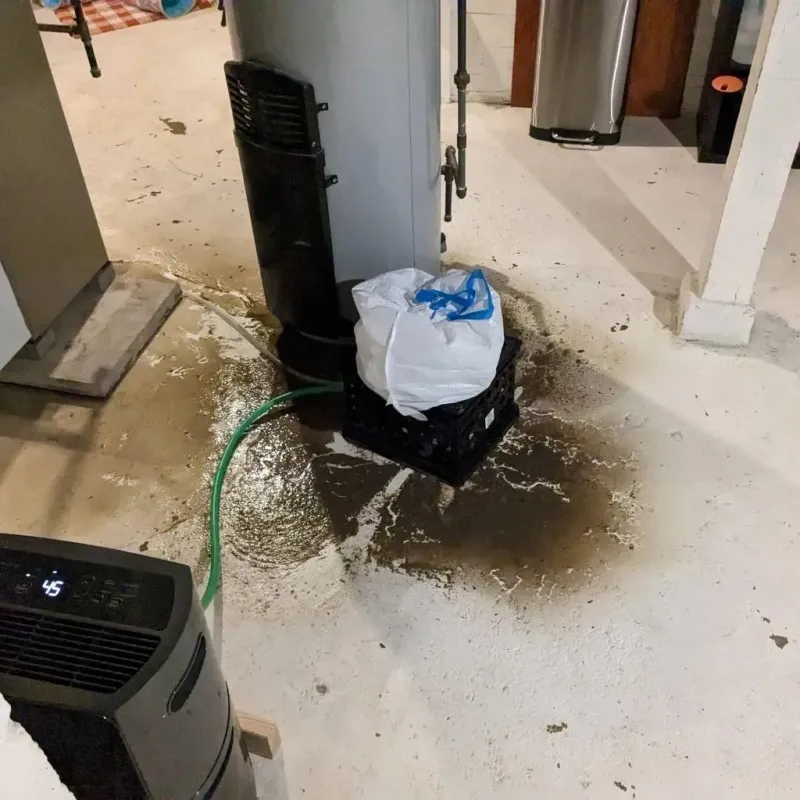 Sewage Backup Cleanup Service in Orchard Homes, MT